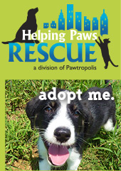 Helping Paws Rescue - Adopt Me