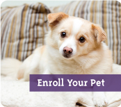 Enroll Your Pet